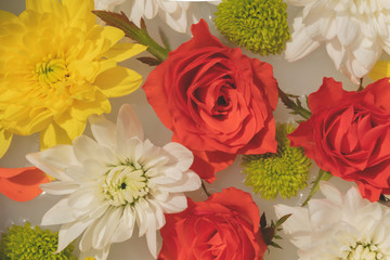 roses and chrysanthemums close up pattern in the milk water