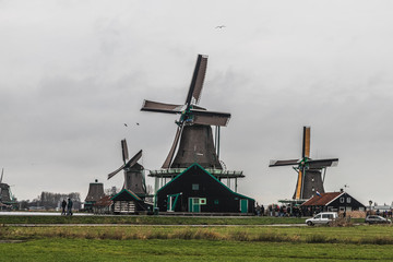 windmills in the Netherlands field