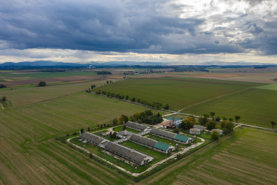 Polish state collective farm in the field 