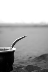 snack on the beach - mate