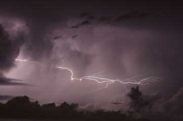Rayos