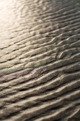 Ripples in the sand