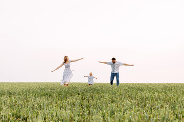 Fototapeta na wymiar Woman, man and a little girl running on a wheat green field. Happy family on summer day, playing outdoors, pretending to be airplanes. Concept of travel and aviation.