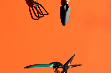 Garden little shovel rakes and scissors to care for plants on an orange background as a frame to copy space