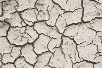 the texture of a dry, cracked surface of the soil