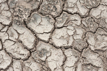 the texture of a dry, cracked surface of the soil