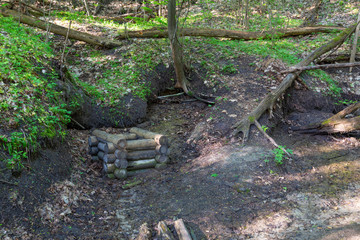 forest well. well chamber