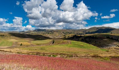 Beautiful view of Cusco landscape with cultivated fields, flowers, clouds and hills