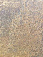 Rusty Metal Texture