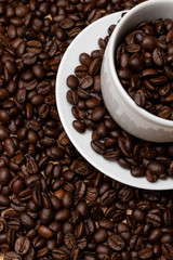 coffee, brown, bean, roasted, caffeine, beans, drink, cafe, cup, espresso, texture, dark, food, black, seed, aroma, coffee bean, macro, breakfast, closeup, white, coffee beans, coffe, crop, agricultur