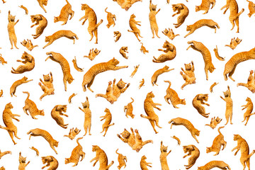 pattern of many ginger flying jumping, dance funny cats isolated on a white background, set collage