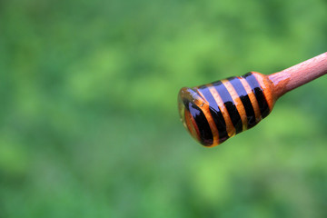 
honey dipper with liquid honey on a background of green flowers.