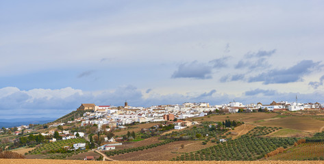 Fototapeta na wymiar Montilla, Cordoba, Spain