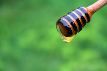 
honey dipper with liquid honey on a background of green flowers.