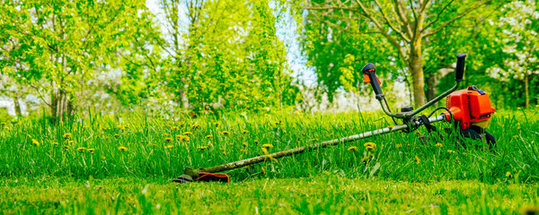 Petrol trimmer on the green lawn in the garden