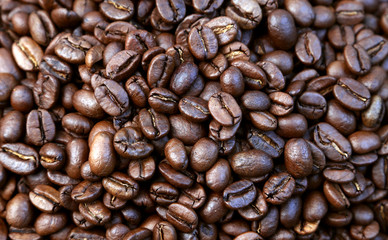 Roasted coffee beans