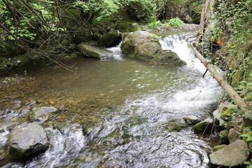 A mountain river flows between the rocks. The water in the river is clean and transparent. From here, water is taken through pipes for irrigation in gardening.