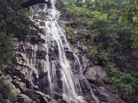 Bee Waterfall Of  Pachmarhi  Hill Station

Pachmarhi , Madhya Pradesh / India  - 10/27/2019