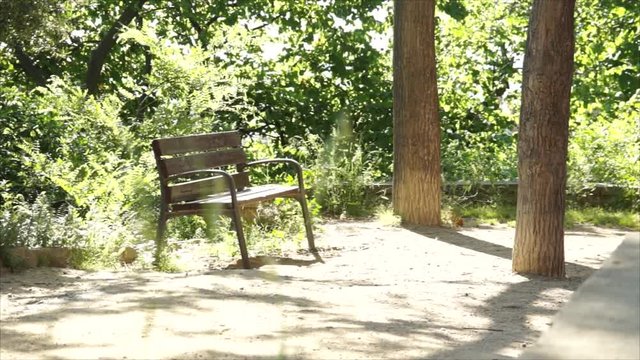 Banco de madera e hierro en un parque