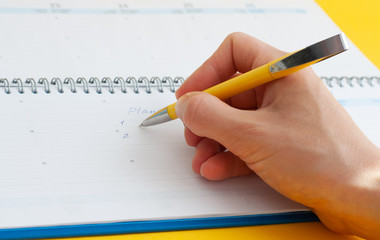 Woman's hand writing entries in a notebook. Plan, 1, 2.