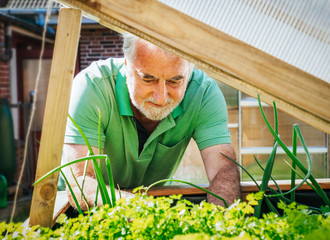 Senior citizen planting vegetables in a raised bed.