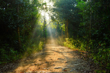 resplandor matutino