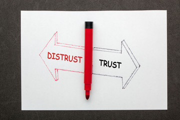Trust Distrust Concept