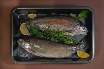 rainbow raw trout with parsley and lemon