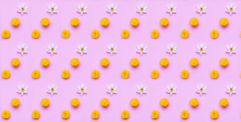 Pattern mit dandelion and daffodil flowers on purple background. Hello Summer concept. Creative copy space.