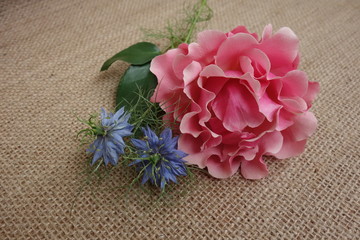 Pink rose and blue nigella sativa flowers on woven rustic beige cloth