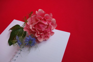 Pink rose and nigella sativa flowers and open white notebook on magenta background