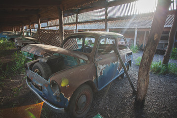 cemetery of old abandoned Soviet cars. in an abandoned Parking lot