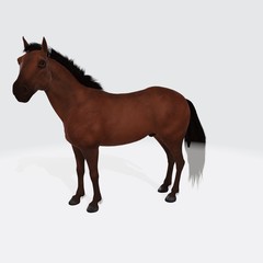 Fototapeta na wymiar 3d model of brown Horse. 3d illustration of Horse.