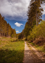 Sauerland , die Gegend um Winterberg und Kahler Asten