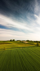 green field and blue sky