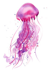 purple jellyfish on an isolated white background, watercolor illustration, hand drawing