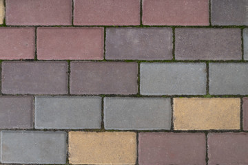 Texture of colored street tiles. Multi-colored tile background on the ground.Street tiles with green moss.