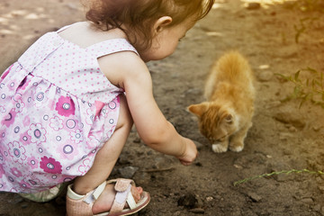 A small child feeds a homeless kitten close-up. The kid has fun playing with his pet in the summer in the yard. Kitten and baby. Animals and children. Caring for animals.