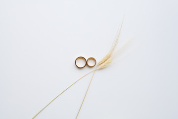 Gold wedding rings close-up, decorated with wheat sprouts . Conceptual decoration for a wedding.
