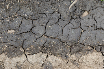 Terra seca