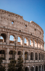 colosseum in rome italy