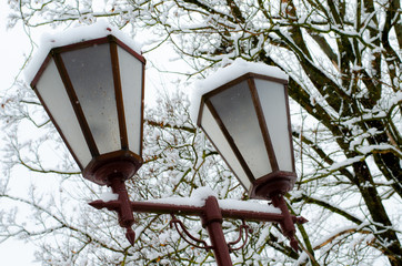 beautiful antique street lamp covered with snow. Many lampposts along the alley in the park. Winter landscape. Calm frosty day.