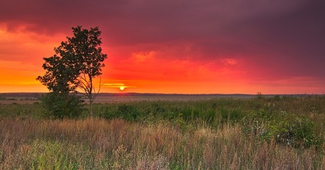 Zachód słońca z drzewem... © Piotr