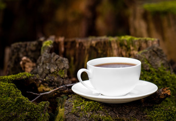A cup of tea in the natural forest
