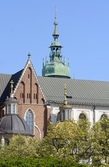 Cathedral of Saints Stanislav and Wenceslas in Krakow. Poland.