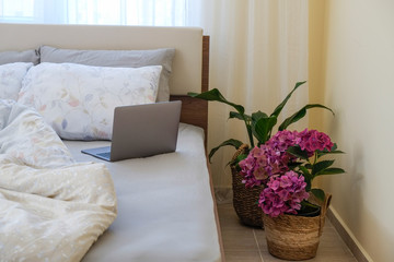 Good morning concept. Empty unmade bed with purple hydragea flowers. Close up shot of bedroom interior with peace lily house plant in a pot on the floor. Copy space, background.