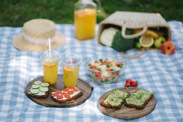 Picnic basket with healthy vegan sandwiches on blue checkered blanket in park. Fresh fruits, vegetables and orange juise. Vegan picnic concept