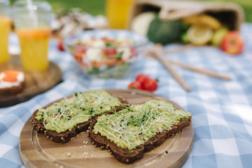Picnic basket with healthy vegan sandwiches on blue checkered blanket in park. Fresh fruits, vegetables and orange juise. Vegan picnic concept