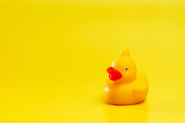 yellow rubber duck for bathing on yellow background