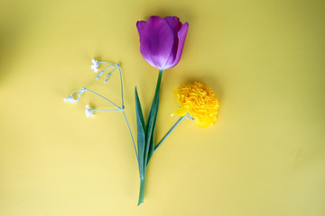 Frühlingsblumen Hintergrund, Blumenstrauß Tulpe pink, Ranunkel gelb als top view Hintergrund,...